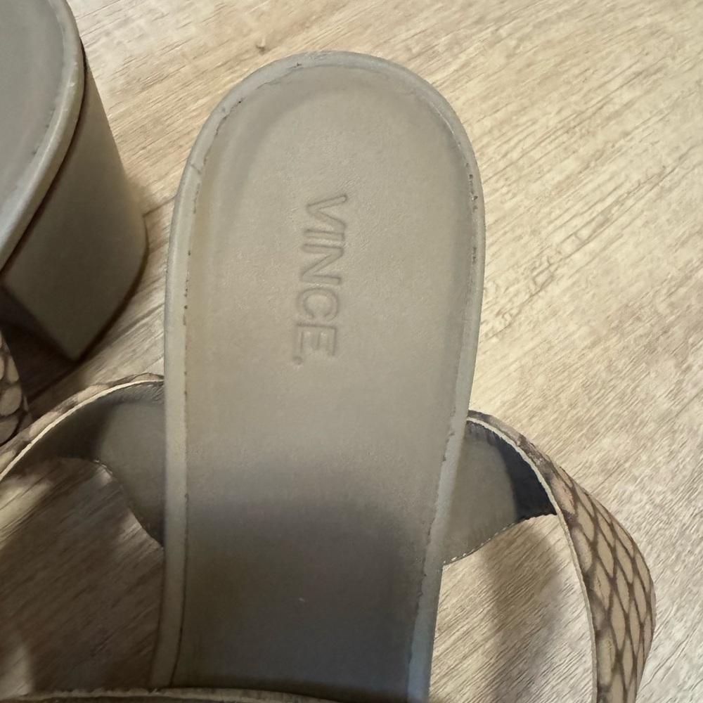 Vince - Picture 2 of 15